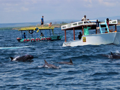 Снорклинг и дельфины в морском парке Ватаму