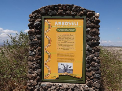 Национальный парк Амбосели 1 День