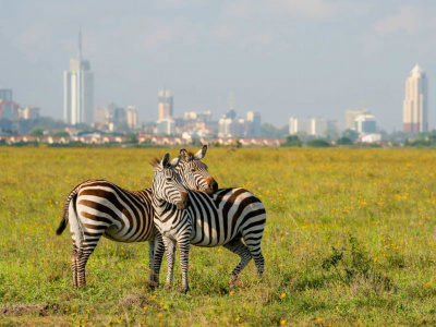 Национальный парк Найроби, Приют Слонов, Центр Жирафов